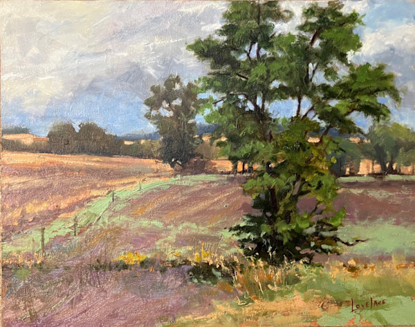 Urbana Farm Field by Deborah Lovelace Richardson