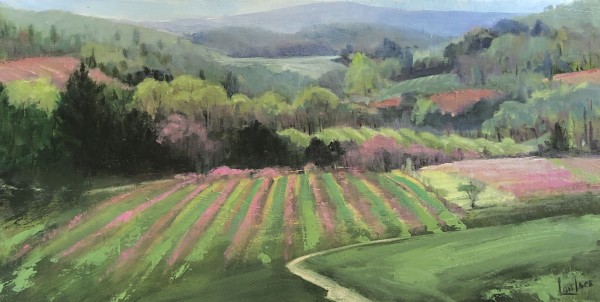 Valley Vineyard by Deborah Lovelace Richardson