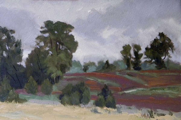 Sorgum Field, Antietam by Deborah Lovelace Richardson