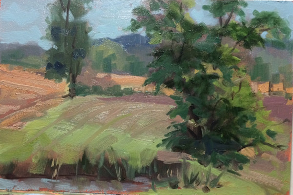 Farm Field by Deborah Lovelace Richardson