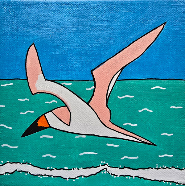 Black Skimmer 2 by Eileen Saunders