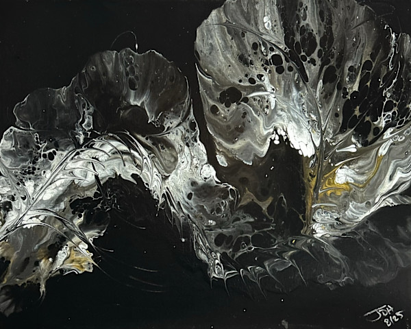 Nightbloom Fold by JD Hecht