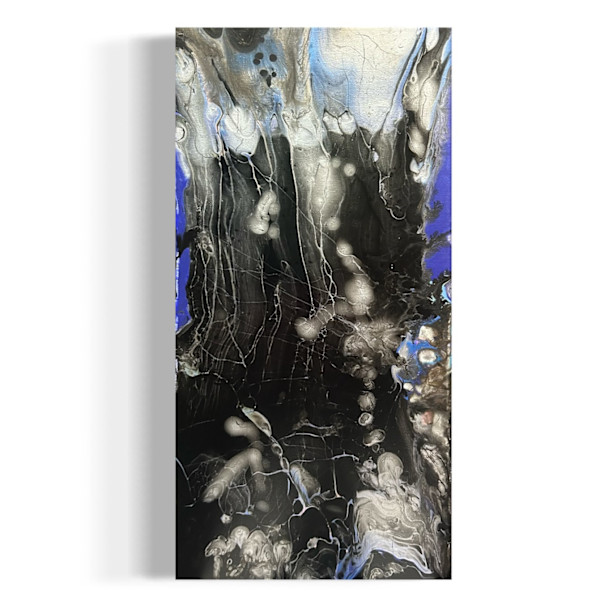 The Reluctant Ascension by JD Hecht