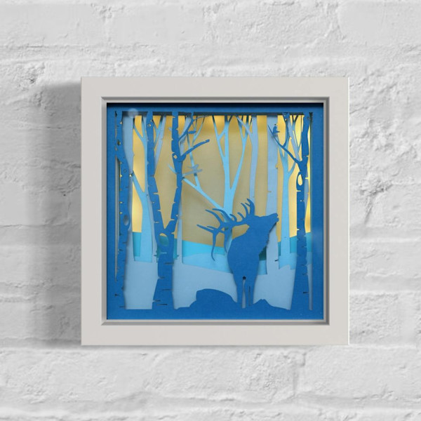 Majestic Wilderness B.O.X. by JD Hecht