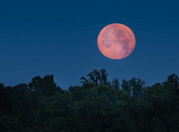 Moon Over Palisades by Bob Burnett