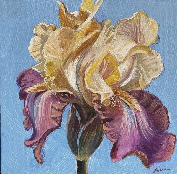 Painterly Iris by Beth Walldorf