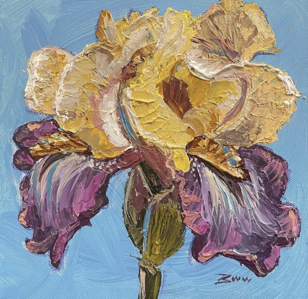 Textured Iris by Beth Walldorf