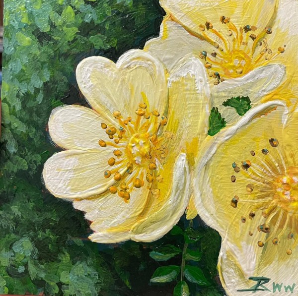 Canary Bird Roses (White Frame) by Beth Walldorf