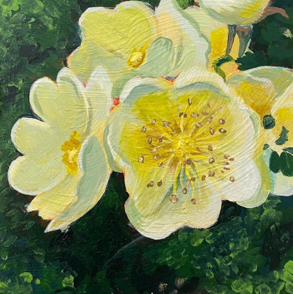 Canary Bird Roses (White Frame) by Beth Walldorf