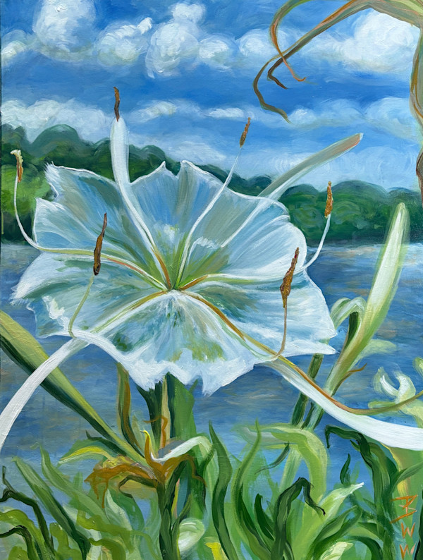Cahaba Lily by Beth Walldorf