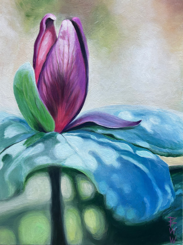 Trillium at Wheeler Refuge by Beth Walldorf