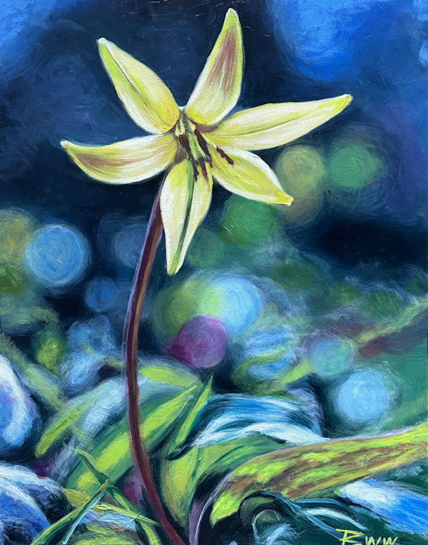 Trout Lily at the Huntsville Wildflower Trail by Beth Walldorf