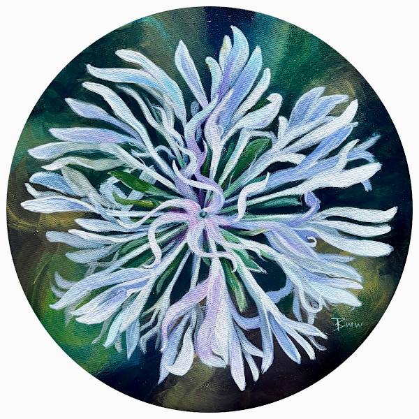 Mohr’s Barbara’s Button by Beth Walldorf