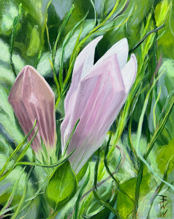 Alabama Indian Pink: A Bibb County Endemic Species by Beth Walldorf