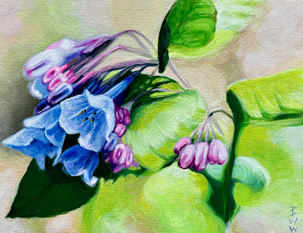 Virginia Bluebells at the Huntsville Wildflower Trail by Beth Walldorf