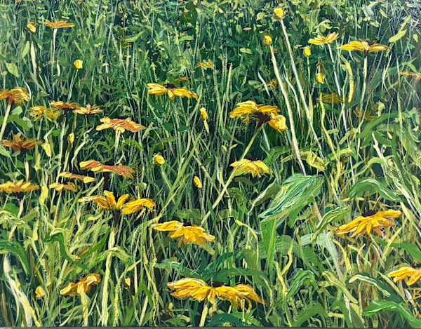 Marsh Coneflower: Rudbeckia Palustris by Beth Walldorf