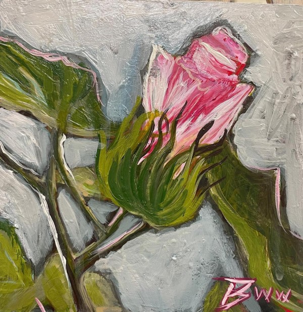 Carolina Cotton Blossom (White Frame) by Beth Walldorf