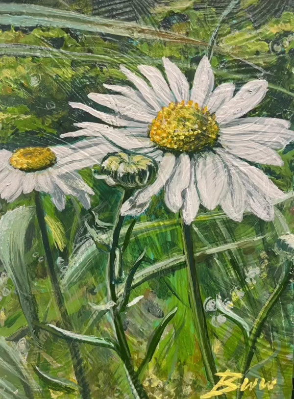 Colorodo Oxeye Daisies (White Frame) by Beth Walldorf