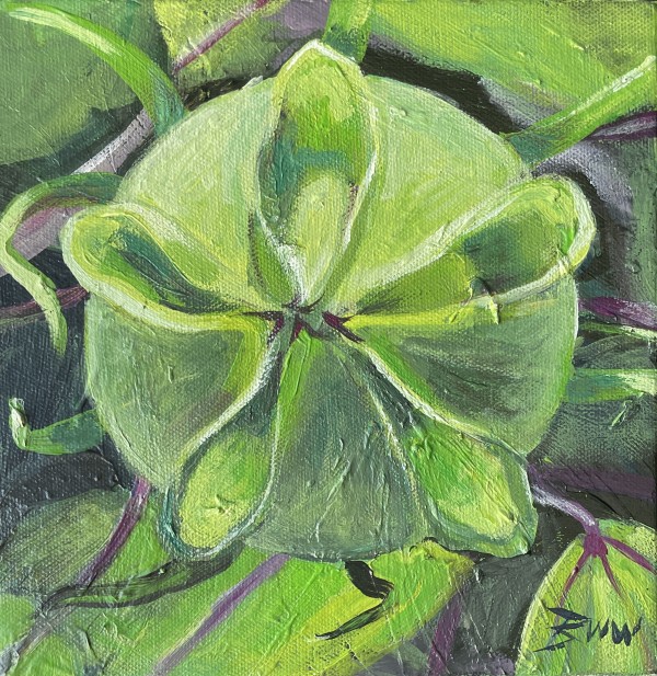 Green Hibiscus Bud by Beth Walldorf