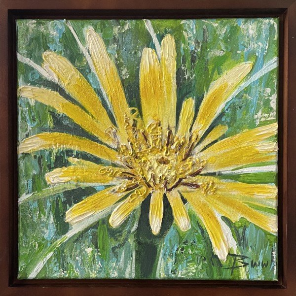 Yellow Salsify (non-native) by Beth Walldorf