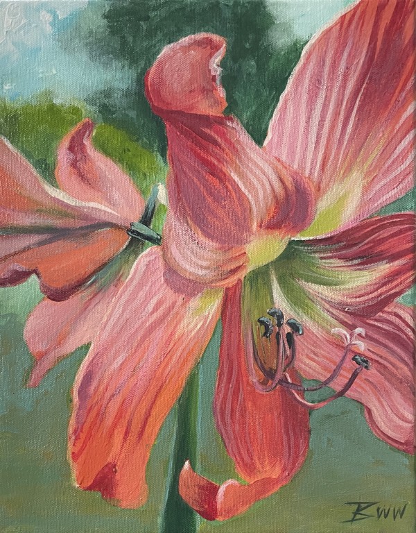 Maw Maw’s Amaryllis by Beth Walldorf
