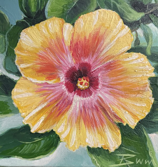 Hibiscus for Liz by Beth Walldorf