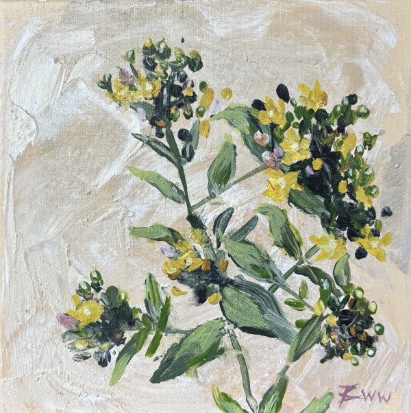 Saint John’s Wort at Flint Creek by Beth Walldorf