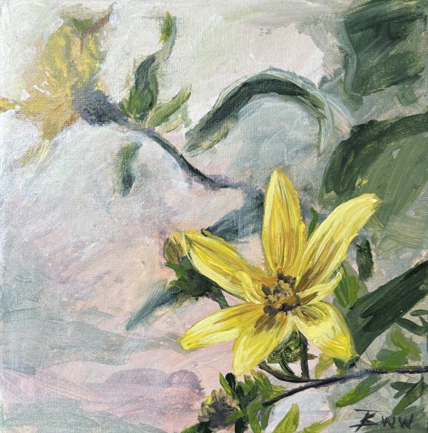 Silphium at Lacey’s Springs by Beth Walldorf