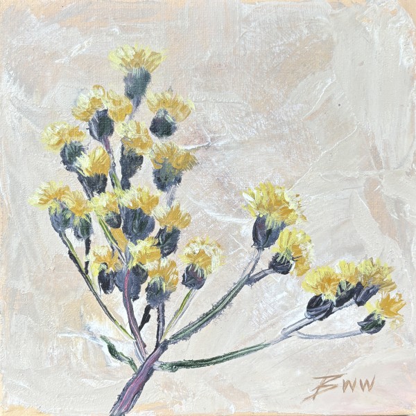 Faded Ironweed After the Bloom by Beth Walldorf