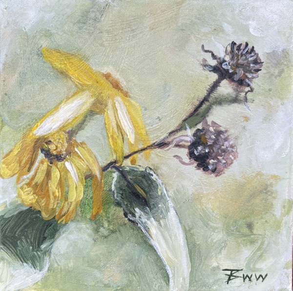 Silphium, reaching by Beth Walldorf
