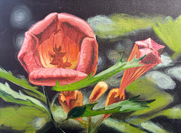 Hummingbird's Delight: Trumpet Vine by Beth Walldorf