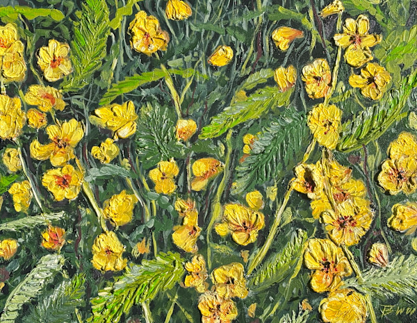 Roadside Partridge Pea by Beth Walldorf