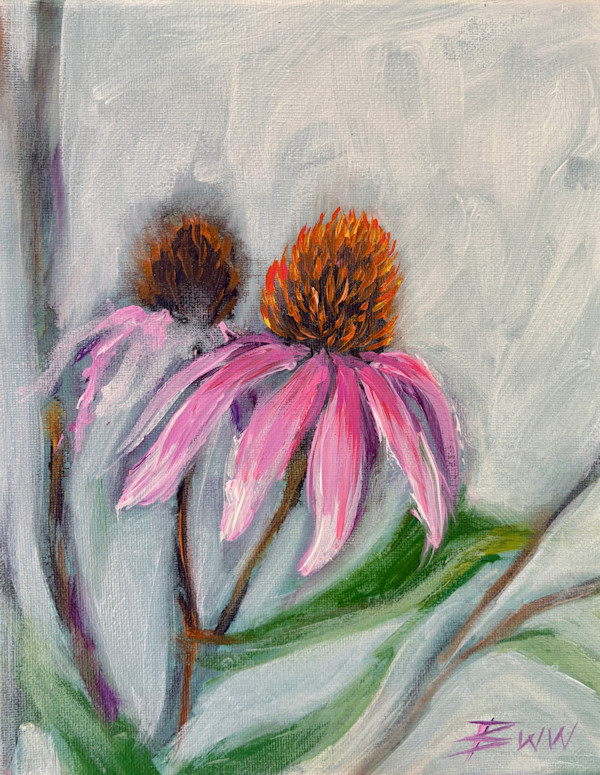 Echinacea by Beth Walldorf
