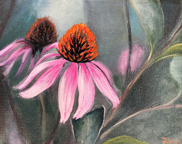Echinacea by Beth Walldorf