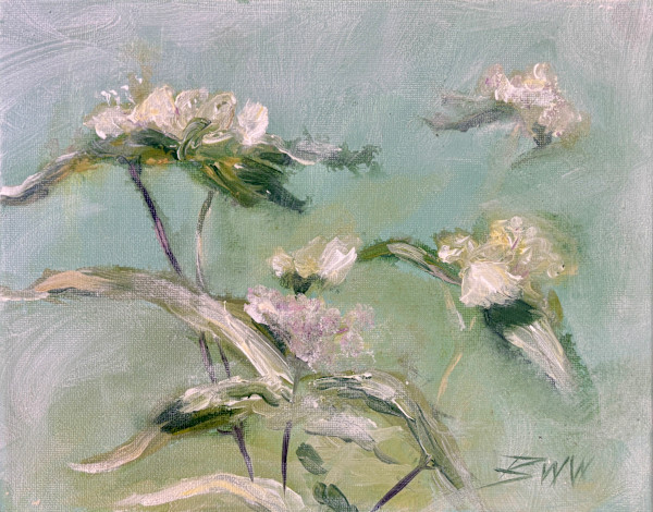 Mountain Mint by Beth Walldorf