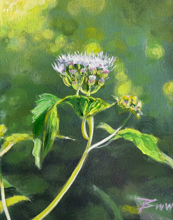 Blue Mist Flower by Beth Walldorf
