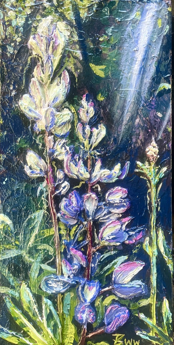 Lupines by Beth Walldorf