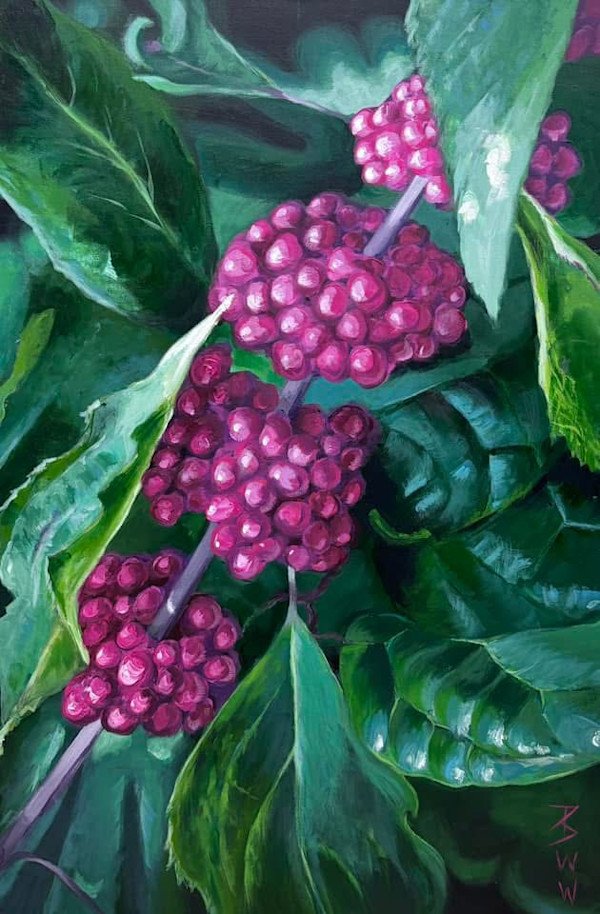 American Beauty Berry by Beth Walldorf