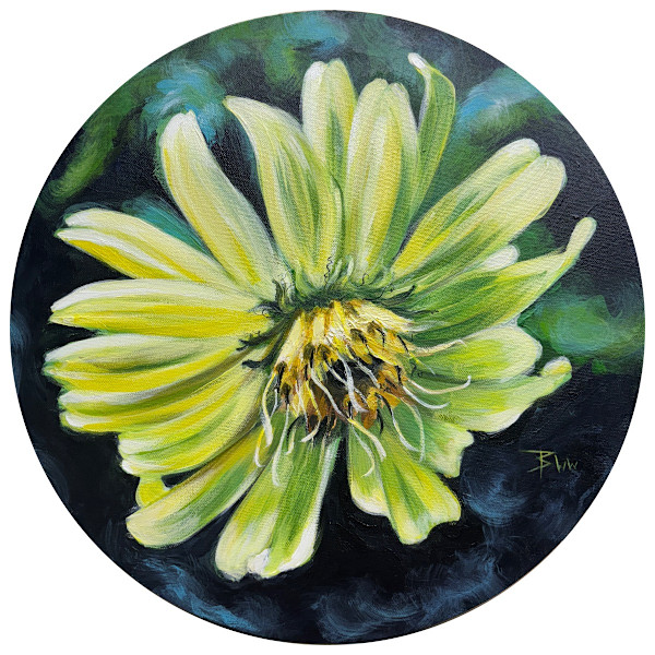 Silphium Encircled by Beth Walldorf