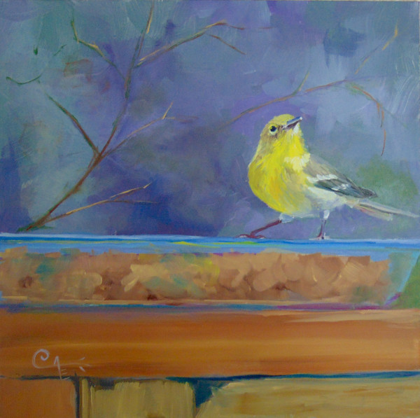 Lunch at the Pie Plate II: Pine Warbler by Catherine Kauffman