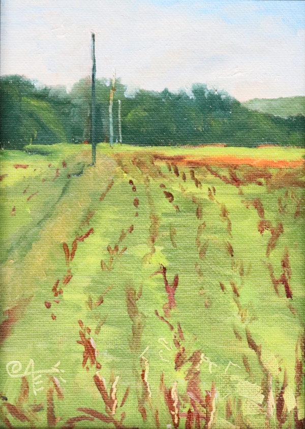 Freshly Harvested by Catherine Kauffman