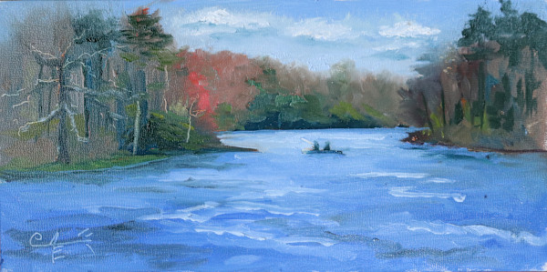 Windy Day at Gardy's Mill Pond by Catherine Kauffman