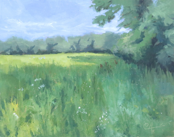 Sun Streaks Across A Meadow by Catherine Kauffman