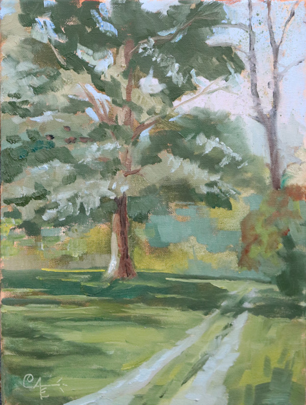 Dad's Oak Tree by Catherine Kauffman