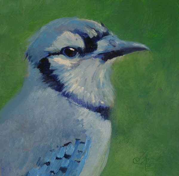 Blue Jay: Up Close and Personal by Catherine Kauffman