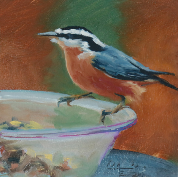 Red-Breasted Nuthatch by Catherine Kauffman