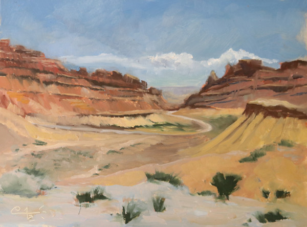 Looking Down the Canyon by Catherine Kauffman