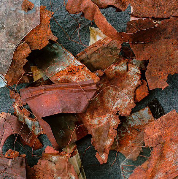 Hemant Ritu by Jeffrey Stern