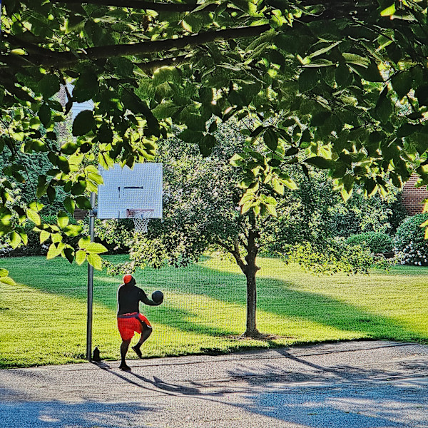 Hoops by Elizabeth Matheson