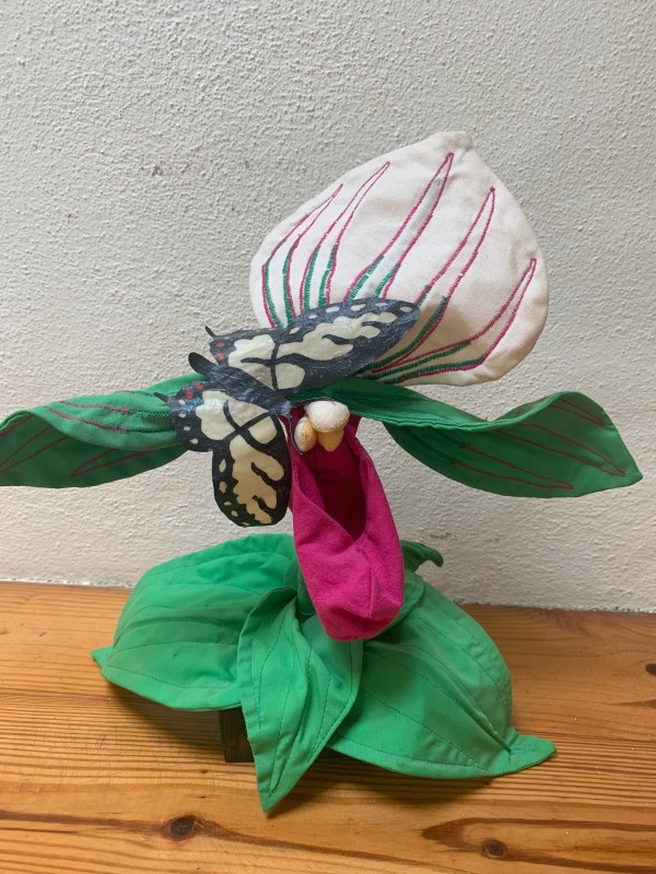 Pink ladyslipper by Shirley McConahay, Image 1.